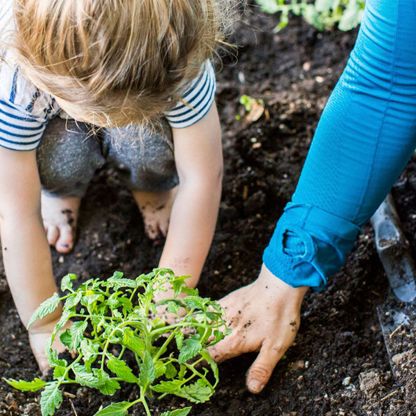 Child Care Nutrition